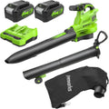 Greenworks Laubbläser, 14.73 m, 48 V, 24 V, 45 L, Grün/Schwarz, ( x 2) Akku Laubsauger - mit Schultergurt, bürstenloser Motor