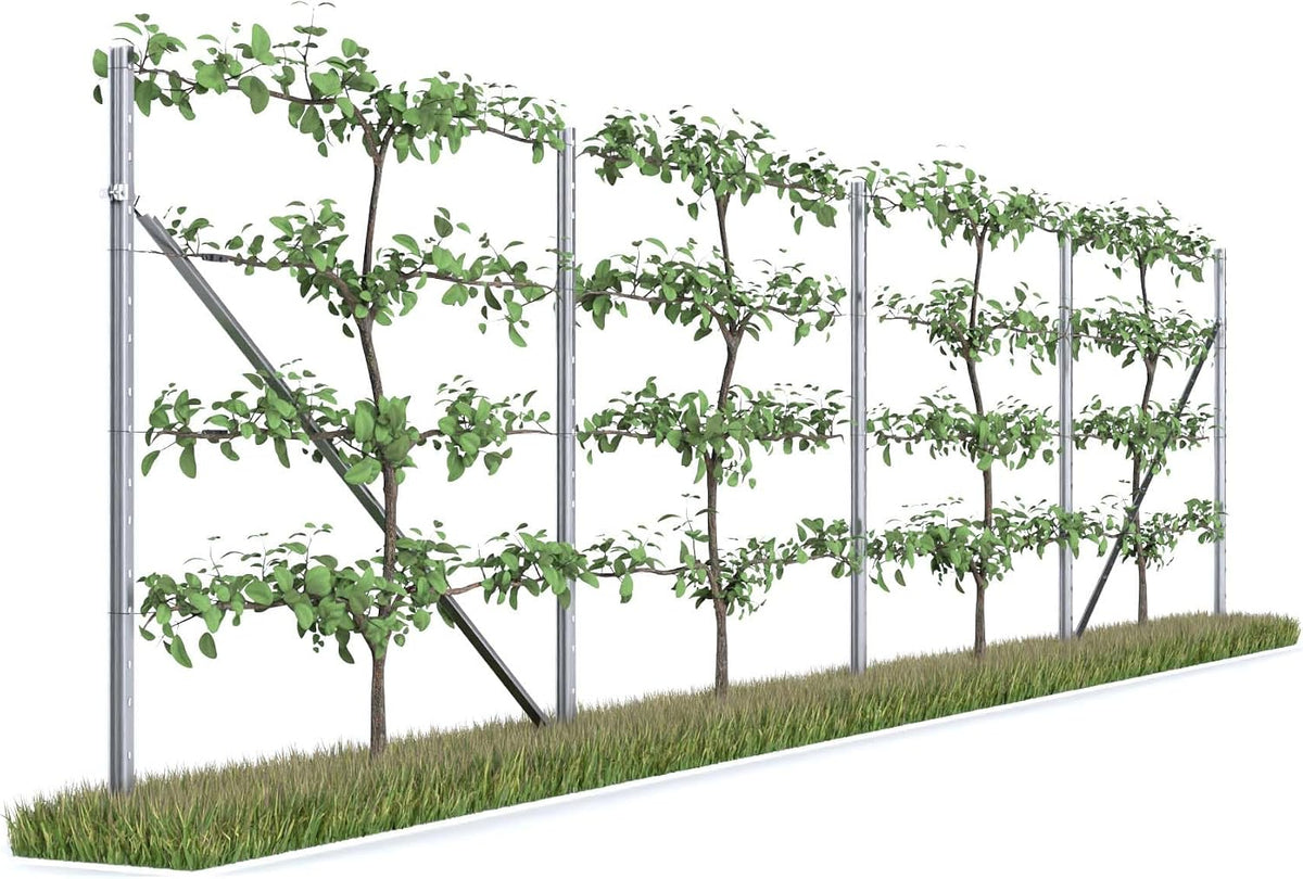 KIWIRI Garten,Gartenarbeit,Gartengestaltung & Rankhilfen, Silber/Grün, RANKI ™ - Rankhilfe für Kletterpflanzen - Spalier